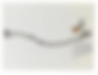 Victor Pasmore * (preview)