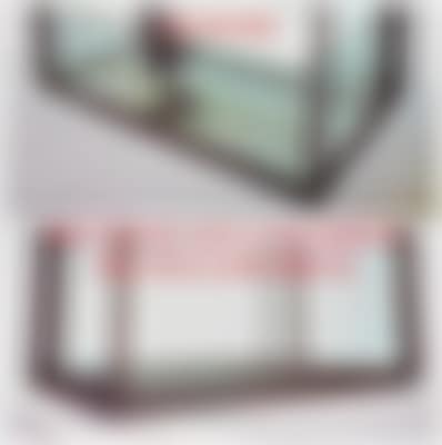 Damien Hirst * (preview)