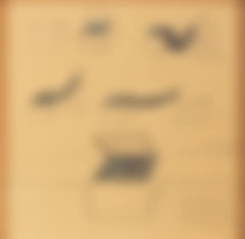 Man Who Disappeared into the Box (preview)