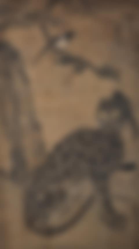 MinWha Magpie & Tiger (preview)