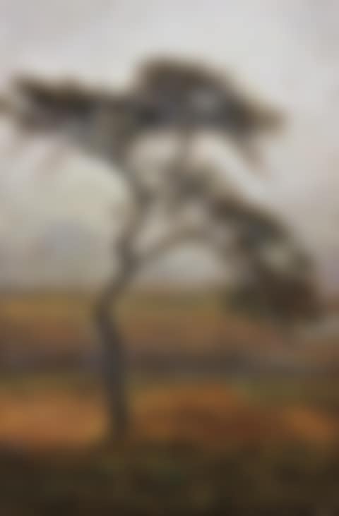Spring Rain (preview)