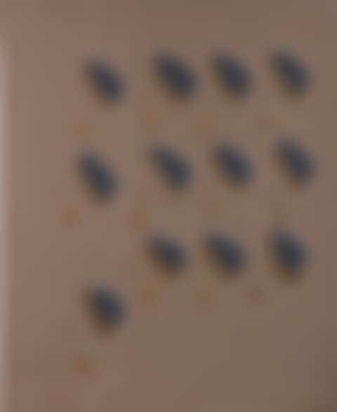 Colorplate75, Decomposition (preview)