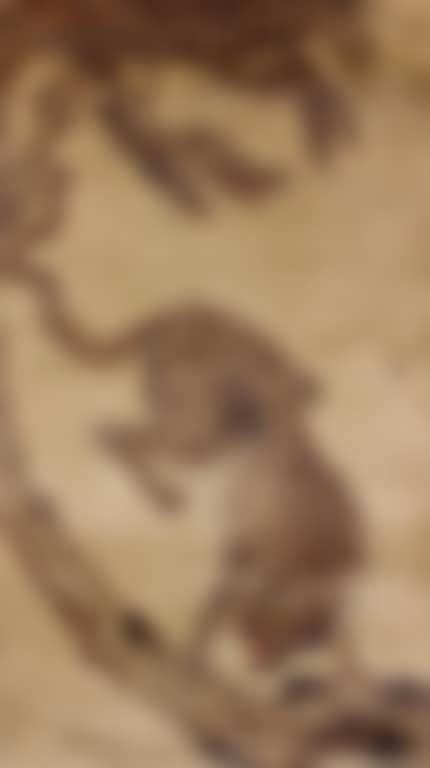 A tiger and magpie (preview)