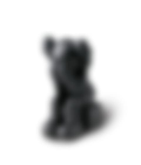 Passing through companion (black) (preview)