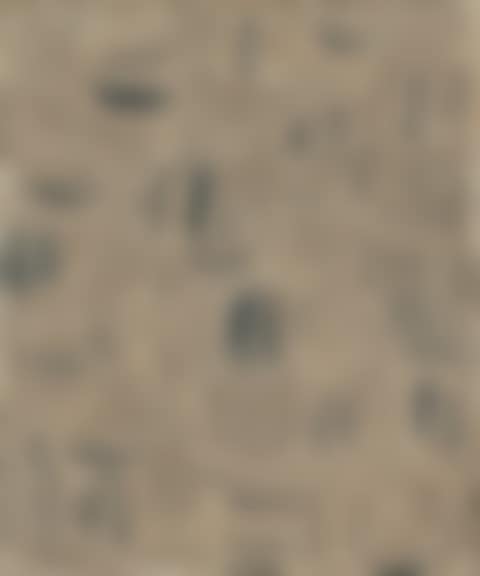 With Winds (preview)