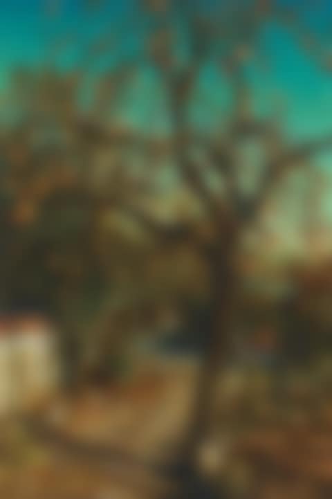 Hometown (preview)