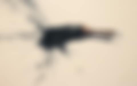 Brush (preview)