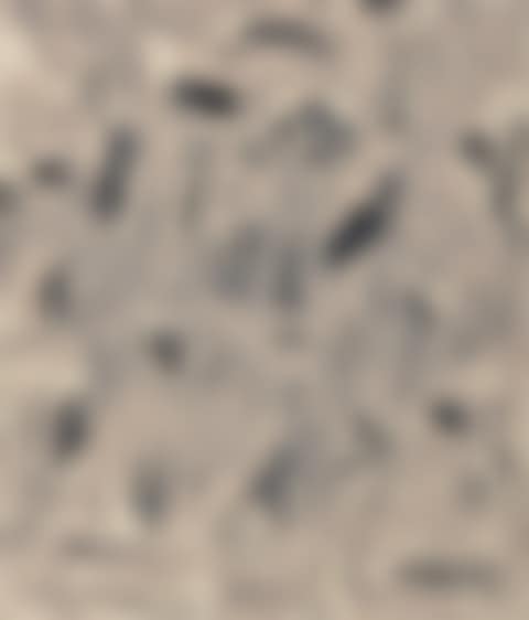 From Winds (preview)