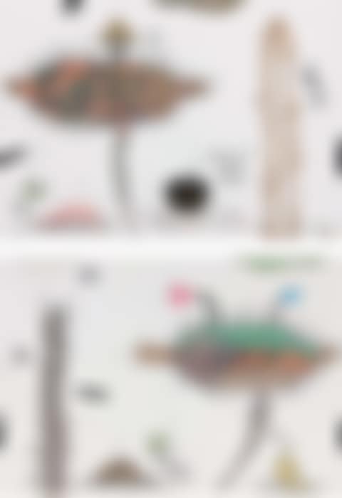 Lost paradise (preview)