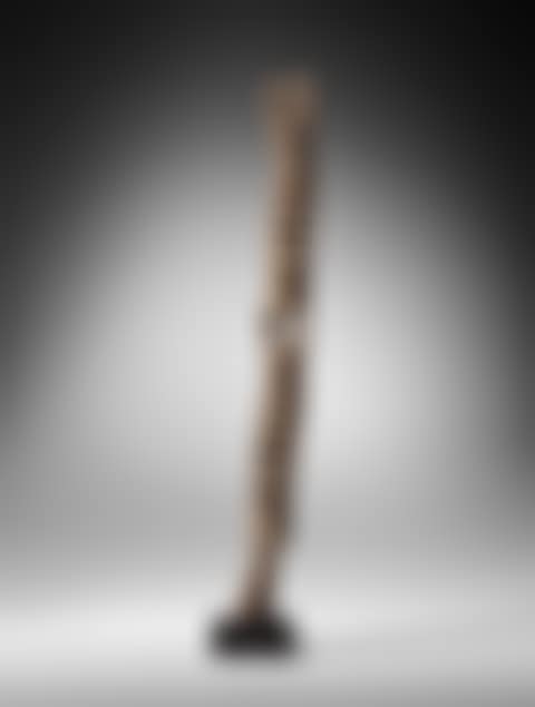 Statue double, Dogon / Komakan, Mali (preview)