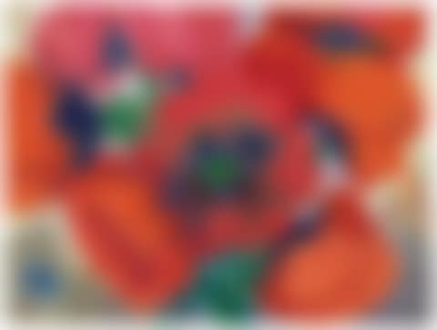 Roter Mohn (preview)