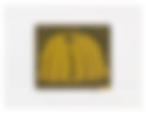 Pumpkin  (Yellow) (preview)