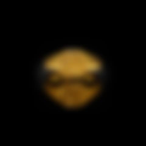 The Guillelmus Ring (preview)