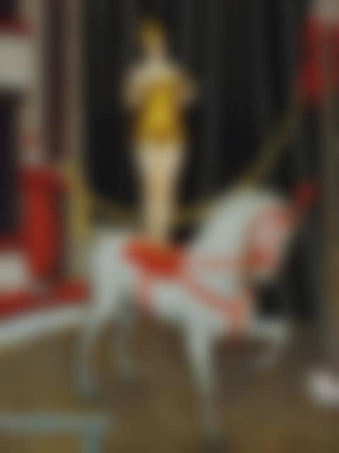 Acrobate sur un cheval blanc (preview)