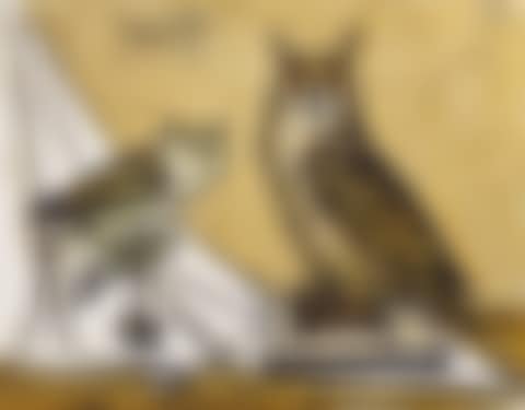 Grand hibou et petit duc (preview)