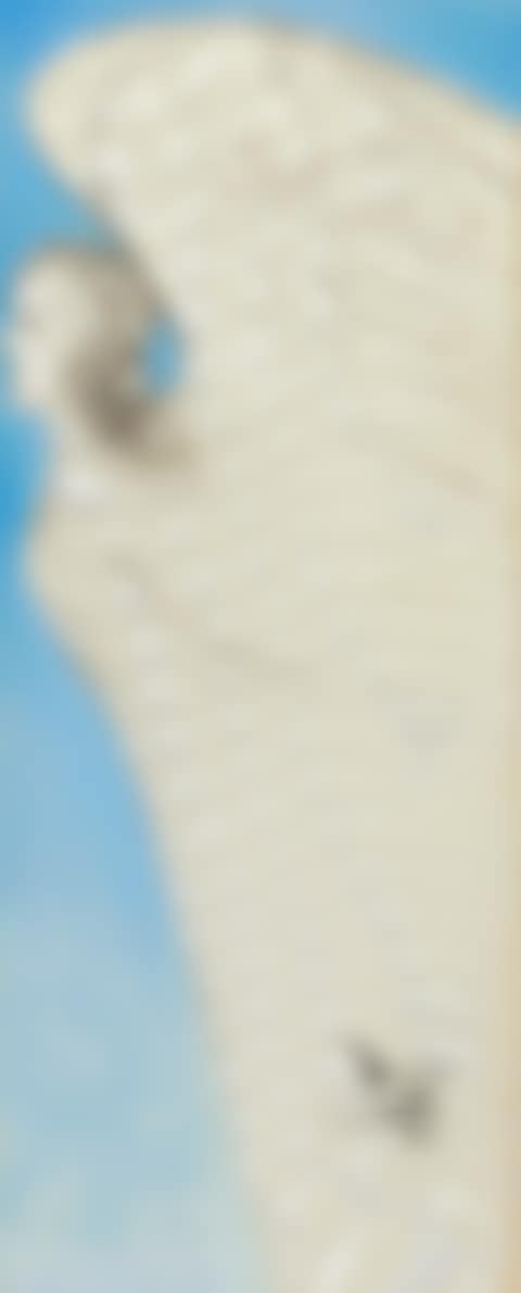 Ange (preview)