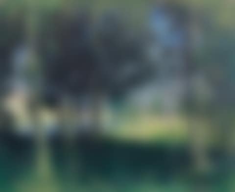Paysage en forêt (preview)