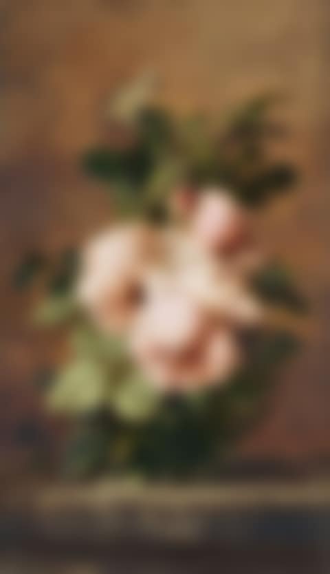 Peonies and Roses (preview)