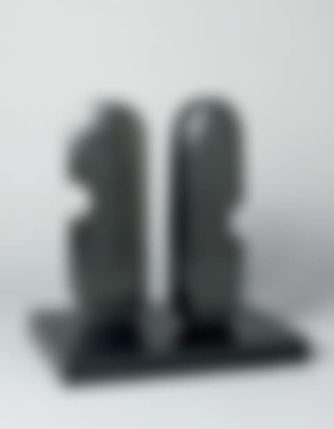 Two forms, Maori (preview)