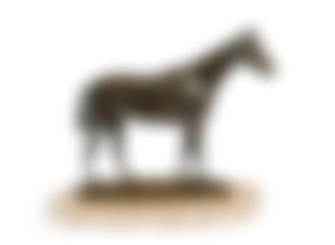 Un Etalon (preview)
