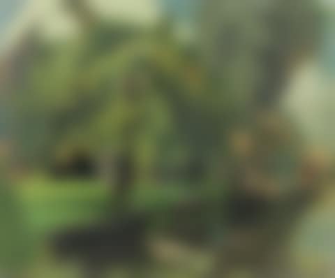 Landscape (preview)