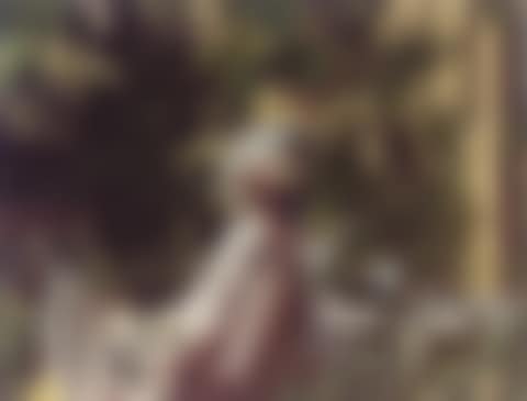 Untitled (preview)