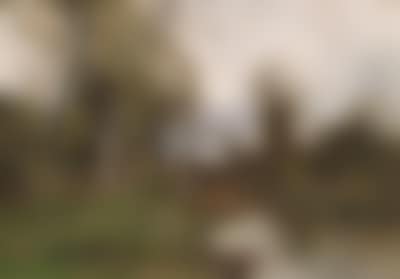 Angler by the Stream (preview)