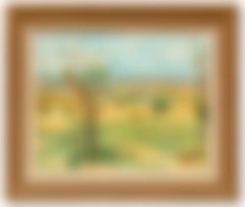 A view of the African savanna (preview)