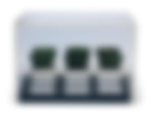 19TH-20TH CENTURY (preview)