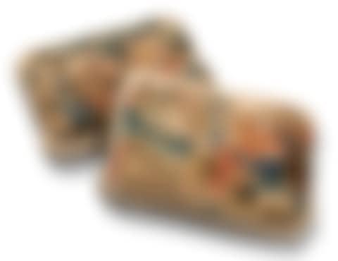 19TH AND 20TH CENTURY INCORPORATING EARLIER FRAGMENTS (preview)