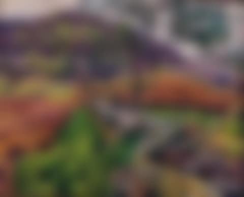 Spring landscape (preview)