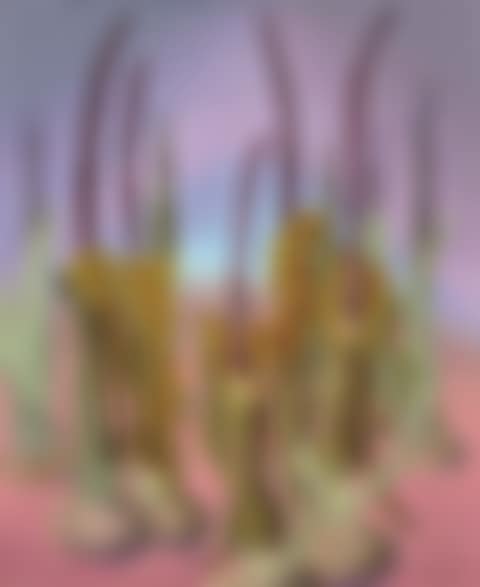 Organic forms (preview)
