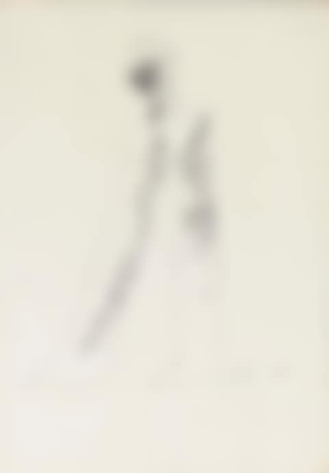 Man (preview)