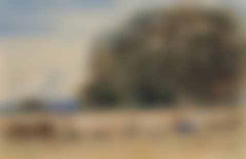 Souvenir of David Cox (preview)
