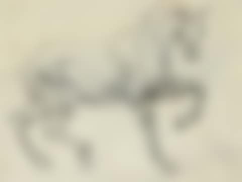 Ecorche figure of a horse (preview)