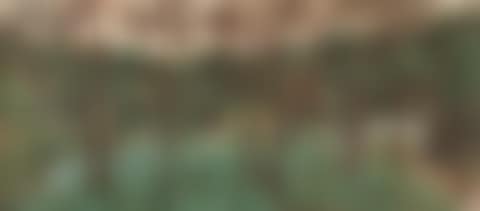 In a wood, a landscape (preview)