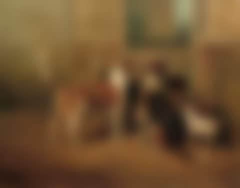 Foxhounds and a Lakeland terrier by a stable door (preview)