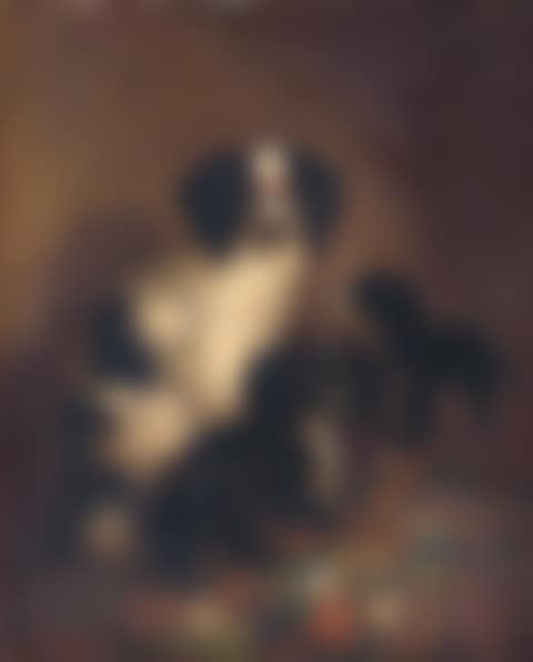Three King Charles spaniels (preview)