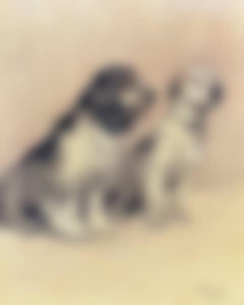 Spaniel and a terrier (preview)