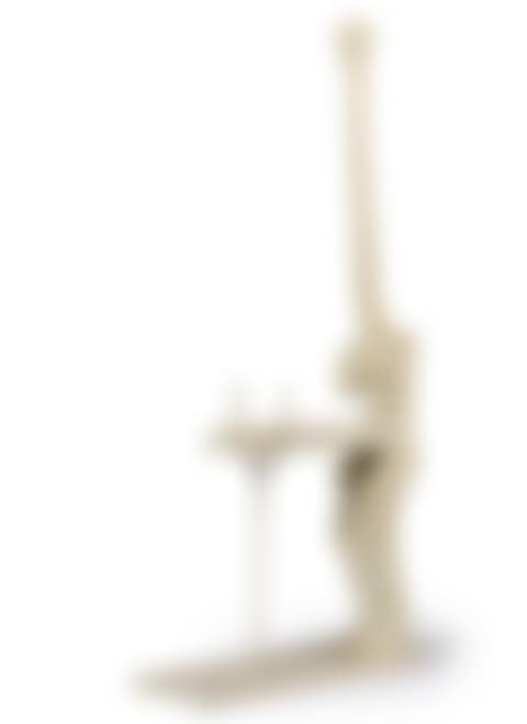 Venus a la girafe (preview)