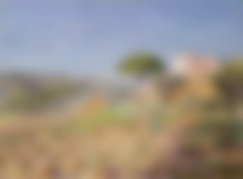 Paysage de Provence (preview)