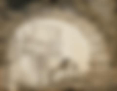 MULETIER MARCHANT VERS L'ARC DE TITUS (preview)