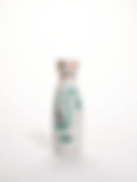 VISAGE (preview)