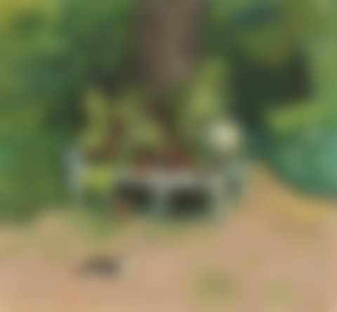 Cat in the Garden (preview)