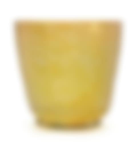 An Acid-etched Glass Vase (preview)