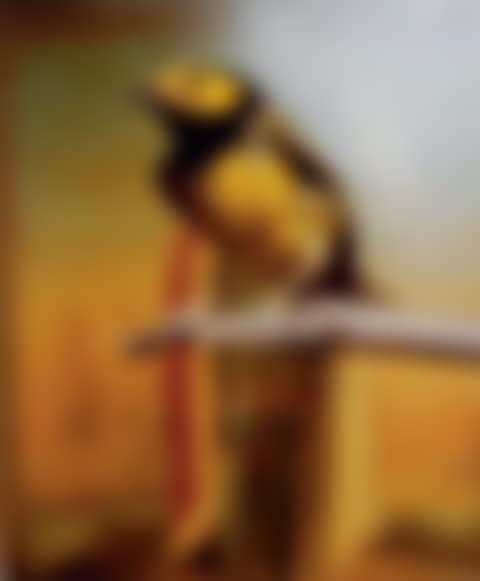 Hooded Warbler II (preview)