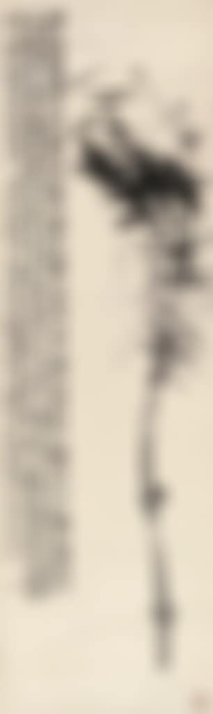 Bamboo (preview)