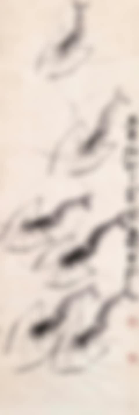 Shrimps (preview)