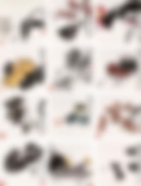 Birds, flowers and insects (preview)