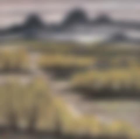 Spring landscape (preview)